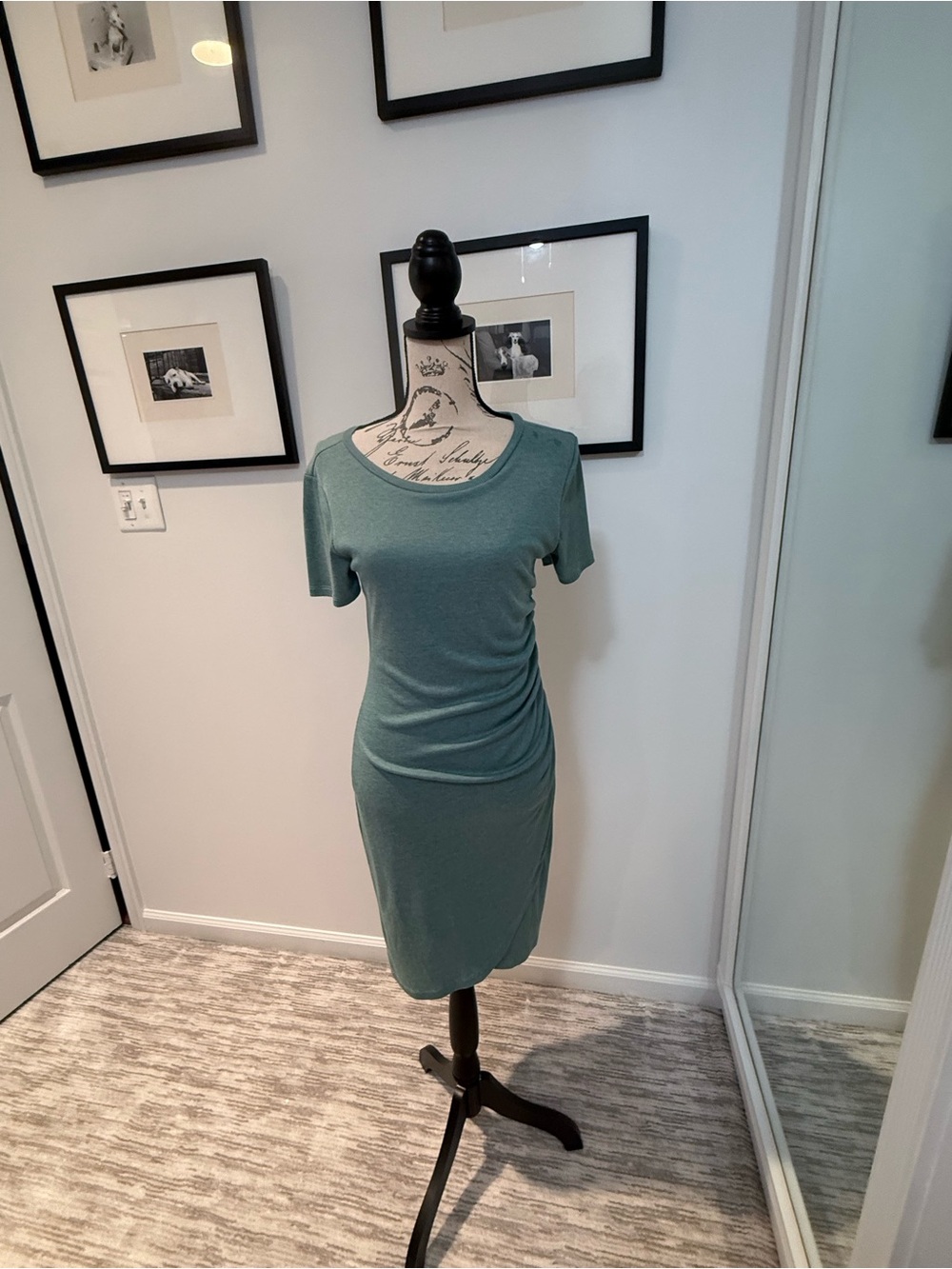 Z Supply Sage Green Ruched Side Short Sleeve Dress